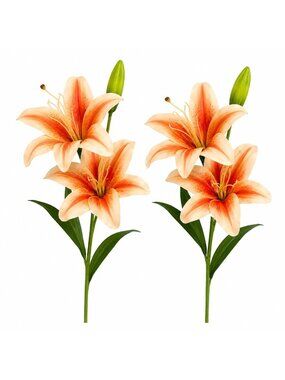 Real Touch Peach Orange Lily Stems Set of 2, Artificial Lily Flowers Faux Floral